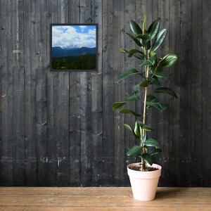mockup 1c00c256