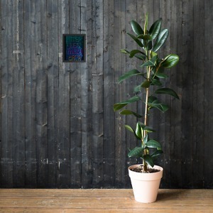 mockup 58c81457