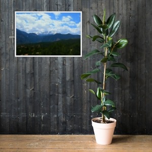 mockup 68e08c97