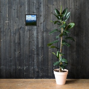 mockup 68f3b961