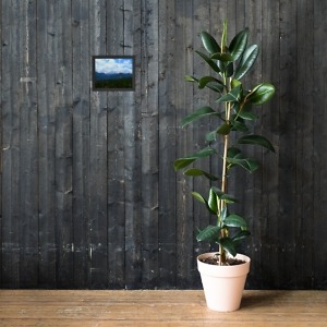 mockup 8c69ead4