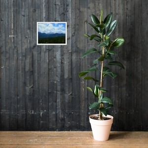 mockup fd320793