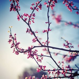 IMG_20170312_184704_529 - Copy