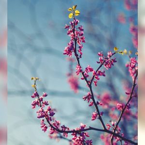 IMG_20170312_184717_726 - Copy