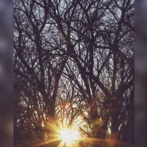 IMG_20170312_184730_132 - Copy