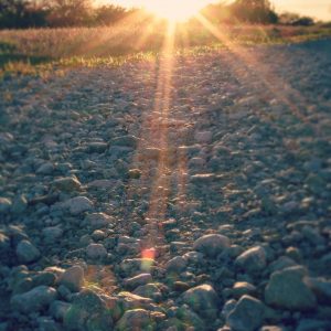 IMG_20170312_184752_953 - Copy