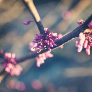 IMG_20170312_184803_058 - Copy