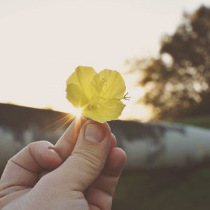 IMG_20170312_184814_462 - Copy