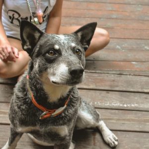 IMG_20170428_195030_070 - Copy