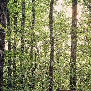 IMG_20170428_195557_961 - Copy