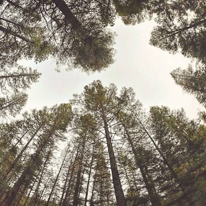 IMG_20170608_211610_900 - Copy