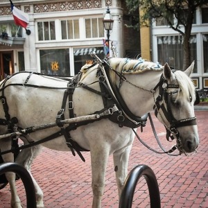 IMG_20170611_224834_212 - Copy